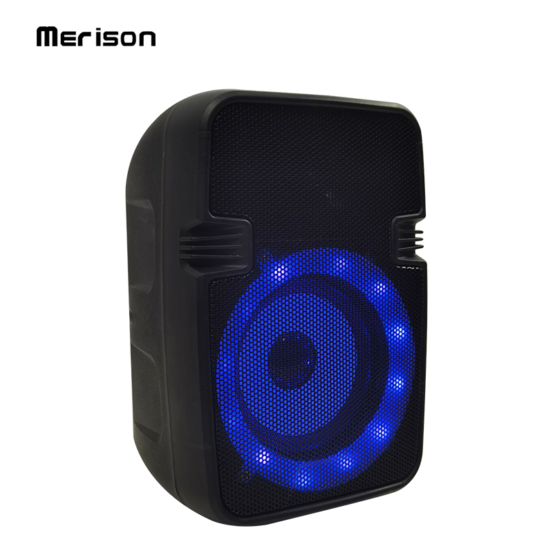 Factory 6.5 inch Portable MIni Bluetooth Speaker with AUX/TF/FM MW-556