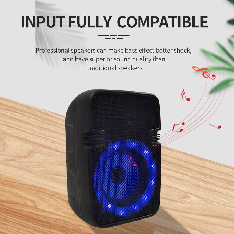 Factory 6.5 inch Portable MIni Bluetooth Speaker with AUX/TF/FM MW-556