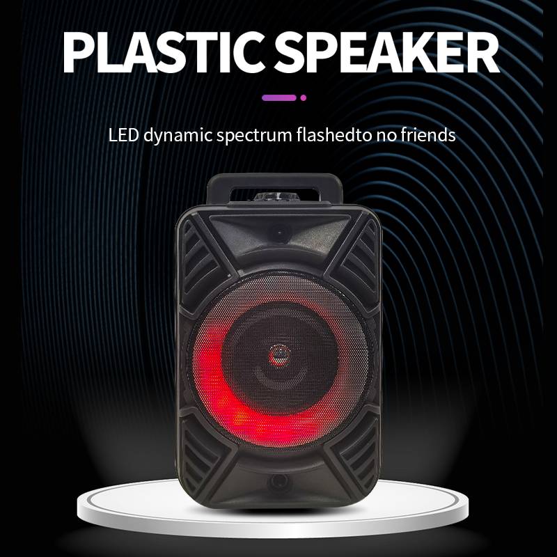 6.5 inch Custom Party Sound Quality Bluetooth Speaker With AUX In/TF/FM  MW-564