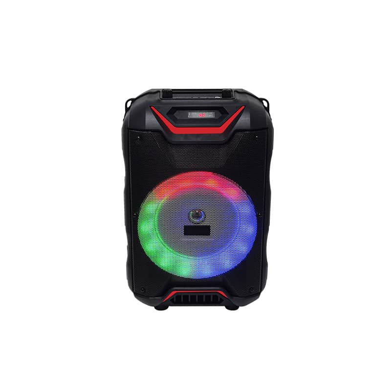 TWS Party Speaker with Microphone For Outdoor MW-334