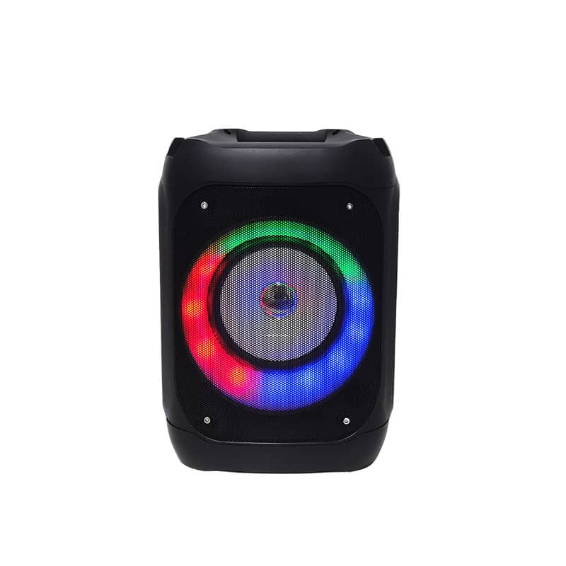 Home Karaoke Speaker and PA System for Kids and Adults with Led Lights MW-337